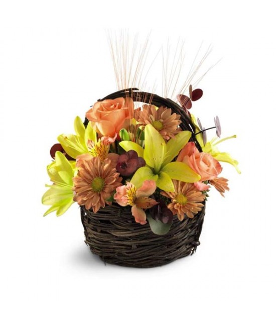 The Sensational Splendor Basket The Sensational Splendor Basket